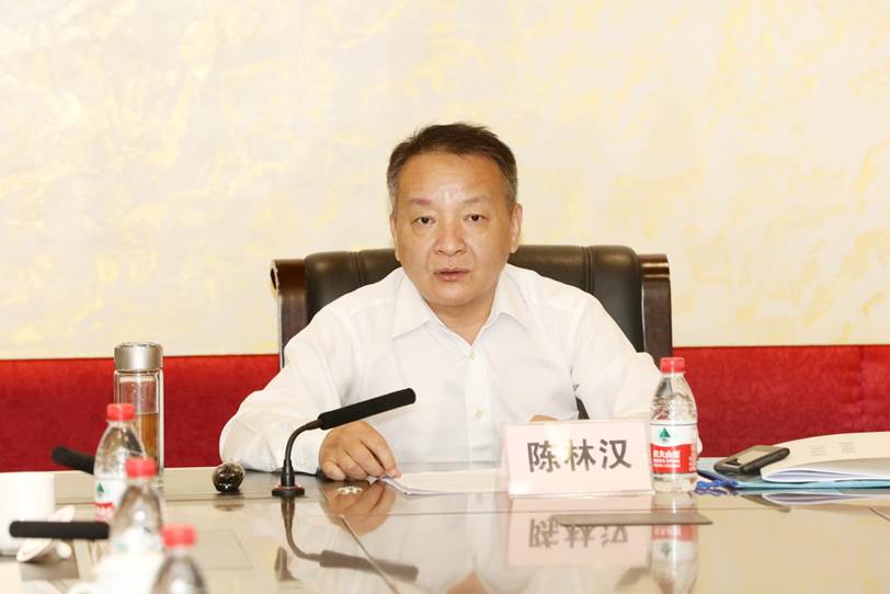 说明: D:\李子丹\新闻和照片\2019\学术\11.8澳门威斯尼斯wns675入口\陈林汉.JPG